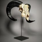 Handgesneden Ouessant Ram's Skull op custom stand -
