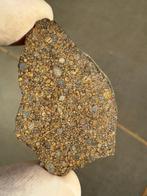 Geschat subtype LL3.12 Plaatje meteoriet chondriet, Verzamelen, Mineralen en Fossielen