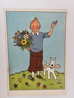 Casterman - Tintin - 2 cartes festives, Boeken, Nieuw