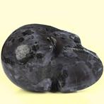 547g Merlinit – Schedel van de drempel tussen werelden 9,0 x