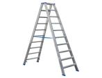 NIEUW - Dubbele trapladder Sparta DUO 10STEP, Jardin & Terrasse, Vêtements de travail, Verzenden