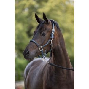 Halster cordano - smoked blue cob - kerbl, Animaux & Accessoires, Chevaux & Poneys | Autres trucs de cheval