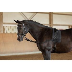 Bijzetteugel, zwart - grootte pony - kerbl, Animaux & Accessoires, Chevaux & Poneys | Autres trucs de cheval