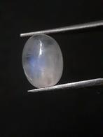 Natural Moonstone - faint blue adularescence - 3.220 ct - ov, Verzenden, Nieuw