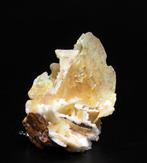 Wulfenite Cristaux sur matrice - Hauteur : 5.5 cm - Largeur, Verzamelen, Mineralen en Fossielen