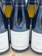 Thierry Fournier, Reserve - Champagne - 12 Demi bouteilles, Collections
