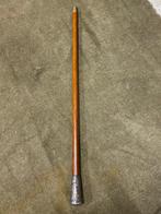 Canne de marche - Plaqué(e) argent