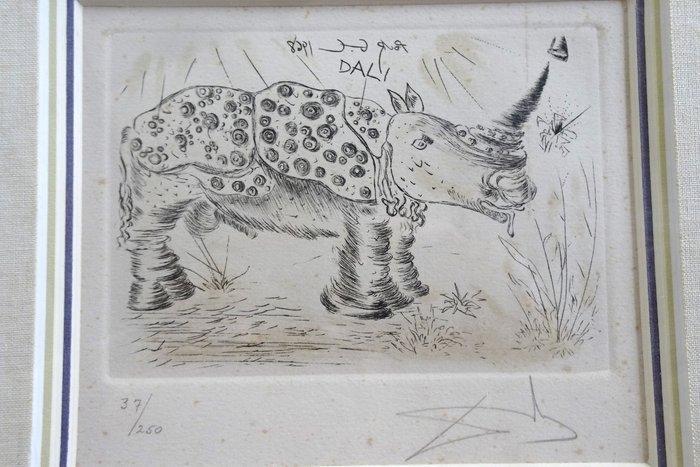 Salvador Dali (1904-1989) - Rhinocero - signée et numérotée, Antiek en Kunst, Antiek | Overige Antiek