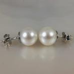 Zonder minimumprijs - Oorbellen Zilver Parel - Southsea RD, Nieuw