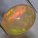Opaal - 9.78 ct - Instituto Gemólogico Español (IGE), Nieuw