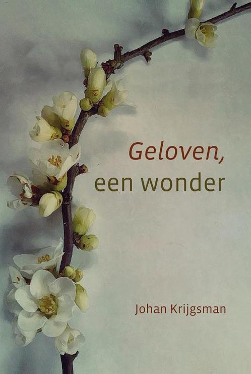 Geloven een wonder 9789033130908 Krijgsman, Boeken, Overige Boeken, Zo goed als nieuw, Verzenden