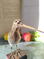 beccaccino Taxidermie volledige montage - Gallinago, Nieuw