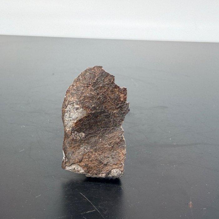 Eucrita van VESTA Asteroïde XXL!!!! NWA 13940, met, Verzamelen, Mineralen en Fossielen