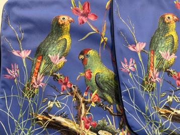Explosion Tropicale – Coussins en Velours avec Perroquets et