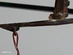 Mortier a opium , boîte a opium , petite balance a opium -