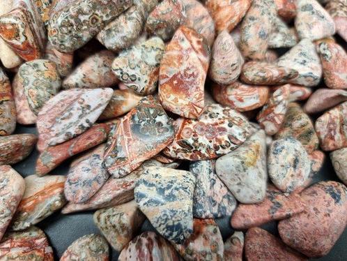 Jaspe léopard - pierres poli Jaspe léopard- 1 kg, Verzamelen, Mineralen en Fossielen