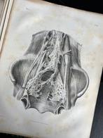 Lesmateriaal - Nicolas-Henri Jacob & Jean Baptiste Marc, Antiek en Kunst