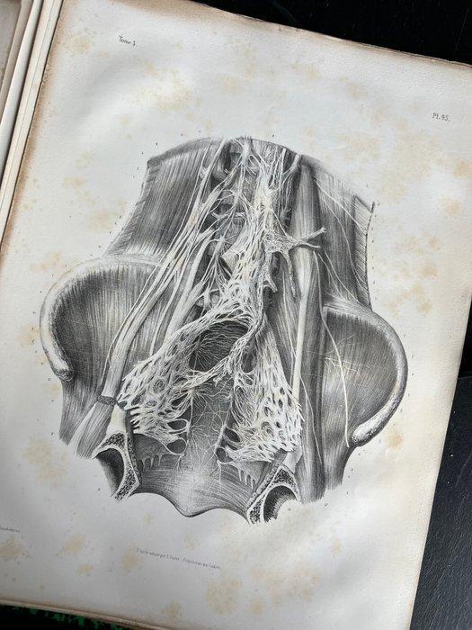 Lesmateriaal - Nicolas-Henri Jacob & Jean Baptiste Marc, Antiek en Kunst, Antiek | Wandborden en Tegels