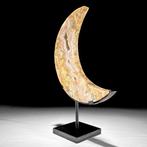 Sans prix de réserve - Agathe à dentelle merveilleuse En, Antiquités & Art