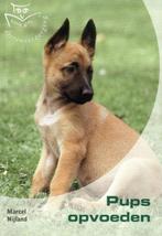Pups opvoeden. Basisgids dierenverzorging / BASISGIDS, Boeken, Verzenden, Zo goed als nieuw, M. Nijland