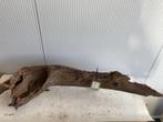 Fine Sinking Wood Selected  FS342 120c30x35 cm, Ophalen of Verzenden, Nieuw, Plant(en), Steen of Hout