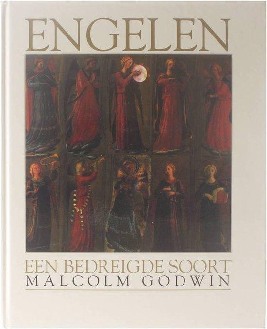 ENGELEN 9789059470439 M. Godwin, Boeken, Overige Boeken, Gelezen, Verzenden