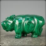 Zeer Decoratieve Natuurlijke Malachiet Hippo- 1143.52 g, Antiek en Kunst, Curiosa en Brocante