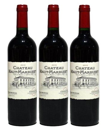 2019 Château Haut Marbuzet - Saint-Estèphe - 3 Flessen (0.75, Nieuw