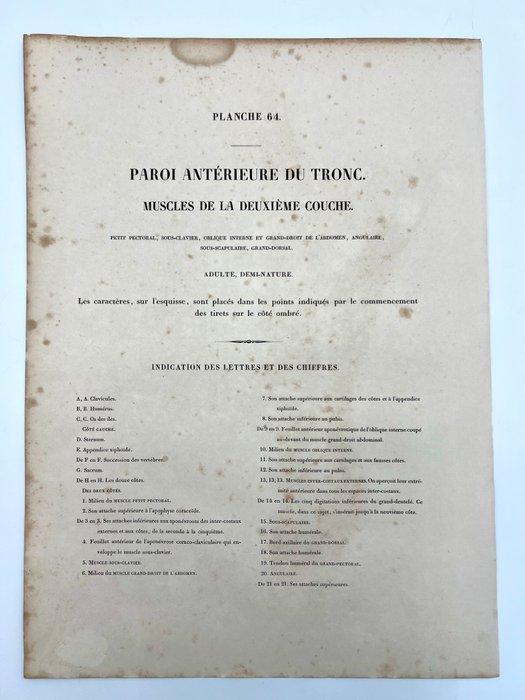 Lesmateriaal - Nicolas-Henri Jacob & Jean Baptiste Marc, Antiek en Kunst, Antiek | Wandborden en Tegels