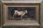 Domenico Battaglia (1842-1904) - Mucca in stalla