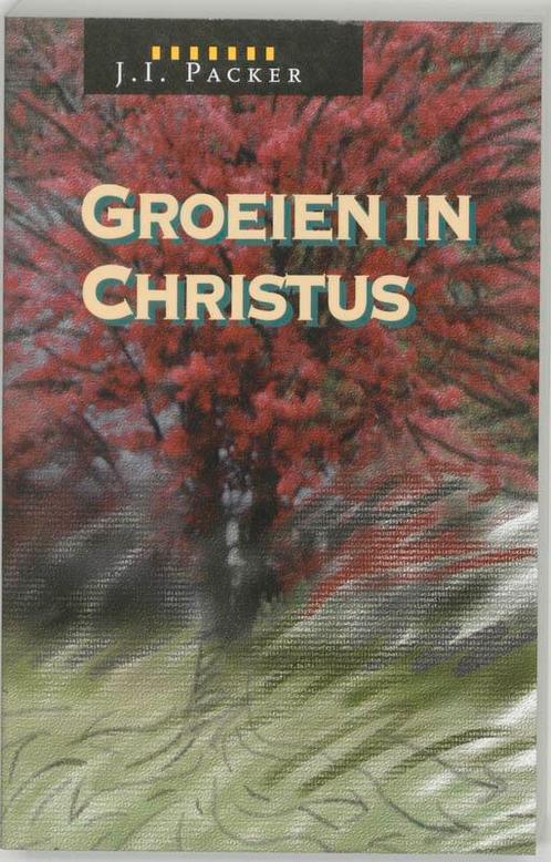 Groeien in Christus 9789063180652 J.I. Packer, Boeken, Godsdienst en Theologie, Gelezen, Verzenden