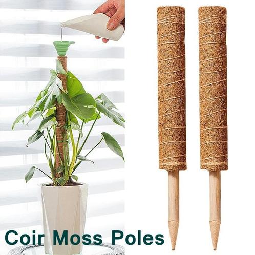 Mosstok kokosstok planten totem 50 cm / stuk opbinden van, Maison & Meubles, Accessoires pour la Maison | Plantes & Fleurs artificielles