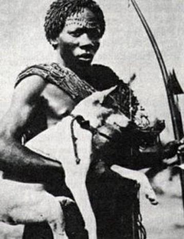 Zeldzame grote Basenji-hondenjachtbel - Bakongo - DR Congo