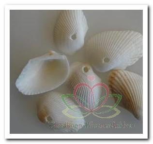 White Litob Geboord Hole 4 mm / kg Geboorde schelpen, Hobby en Vrije tijd, Knutselen, Nieuw