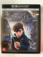 FANTASTIC BEASTS AND WHERE TO FIND THEM (4K ULTRA HD +
