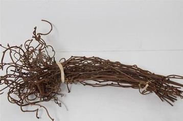 Kiwi Takken Natuurlijk Gekruld Bundel 55 cm beschikbaar voor biedingen