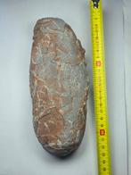 Oviraptor - Gefossiliseerd ei - 20 cm