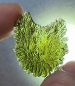 Moldaviet - uit Nesm, Zuid-Bohemen - wonderful, Verzamelen, Mineralen en Fossielen