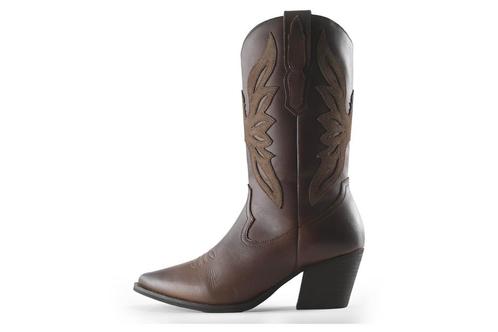 Polo Ralph Lauren Cowboy laarzen in maat 38 Bruin | 5% extra, Kleding | Dames, Schoenen, Bruin, Zo goed als nieuw, Verzenden
