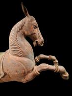 Antiek levensgroot paard - oost 19e eeuw. - Hout - India -