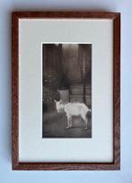 Jan Mankes (1889-1920) - Oude geit