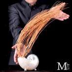 Nautilus en mèreperle avec gorgonia rouge – relique de