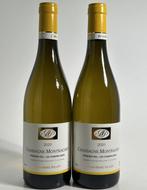 2020 Domaine Jean-Marc Pillot Les Champs-Gain -, Nieuw
