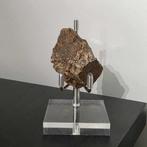 Al Haggounia 001 meteoriet - Chrondiet meteoriet - Op, Verzamelen, Mineralen en Fossielen