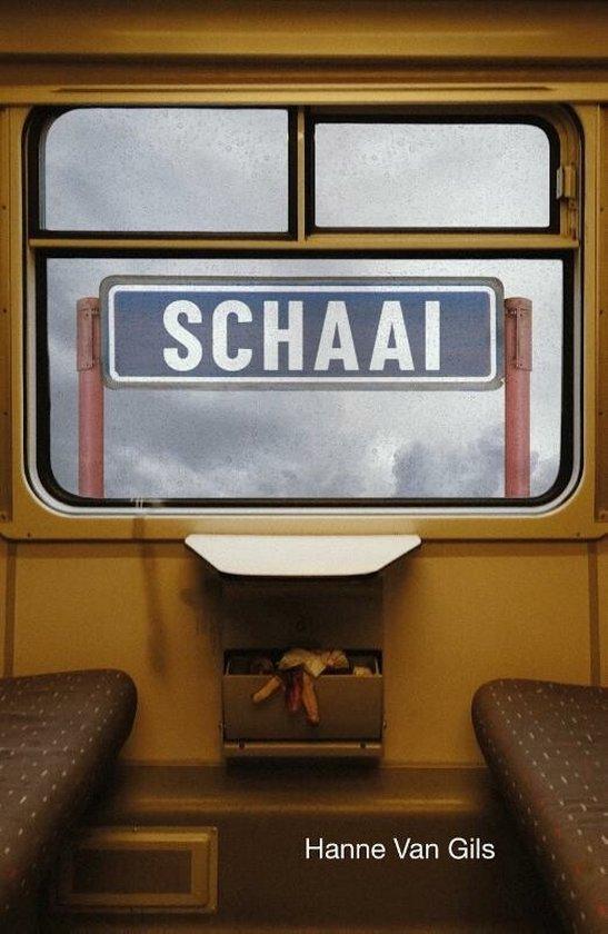 Schaai 9789493111967 Hanne van Gils, Boeken, Romans, Gelezen, Verzenden