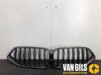 Grille BMW 3-Serie O251224