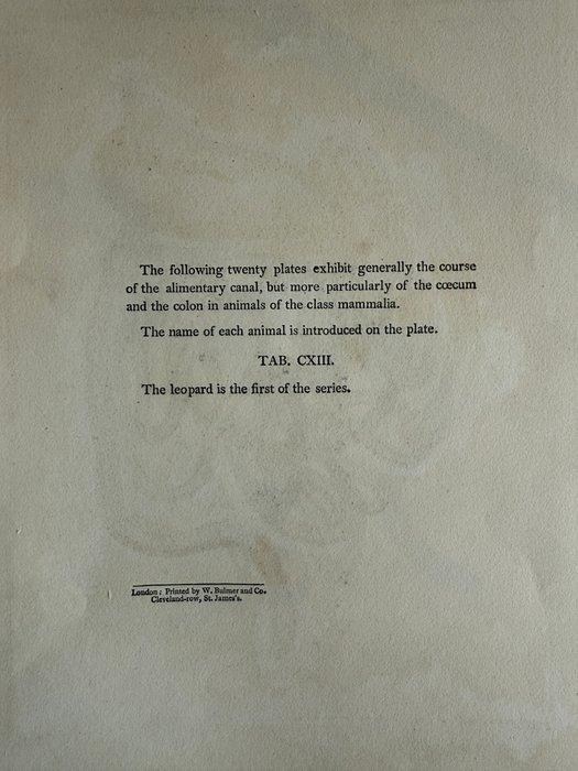 Sir Everard Home (XIX) - Lectures on Comparative Anatomy, Antiquités & Art, Antiquités | Autres Antiquités