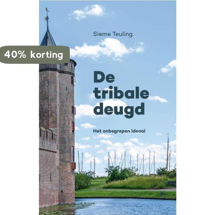 De tribale deugd 9789090350127 Sieme Teuling, Livres, Philosophie, Envoi