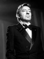 David Lefranc - Serge Gainsbourg, Antiek en Kunst