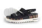 Cellini Sandalen in maat 39 Zwart | 5% extra korting, Kleding | Dames, Schoenen, Verzenden, Zwart, Cellini, Sandalen of Muiltjes